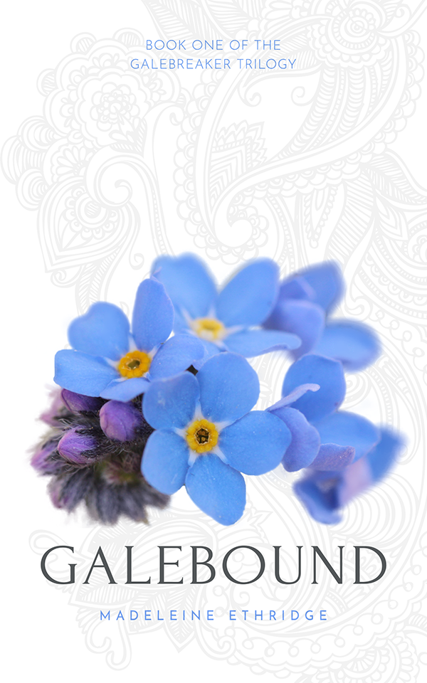 Galebound cover mockup